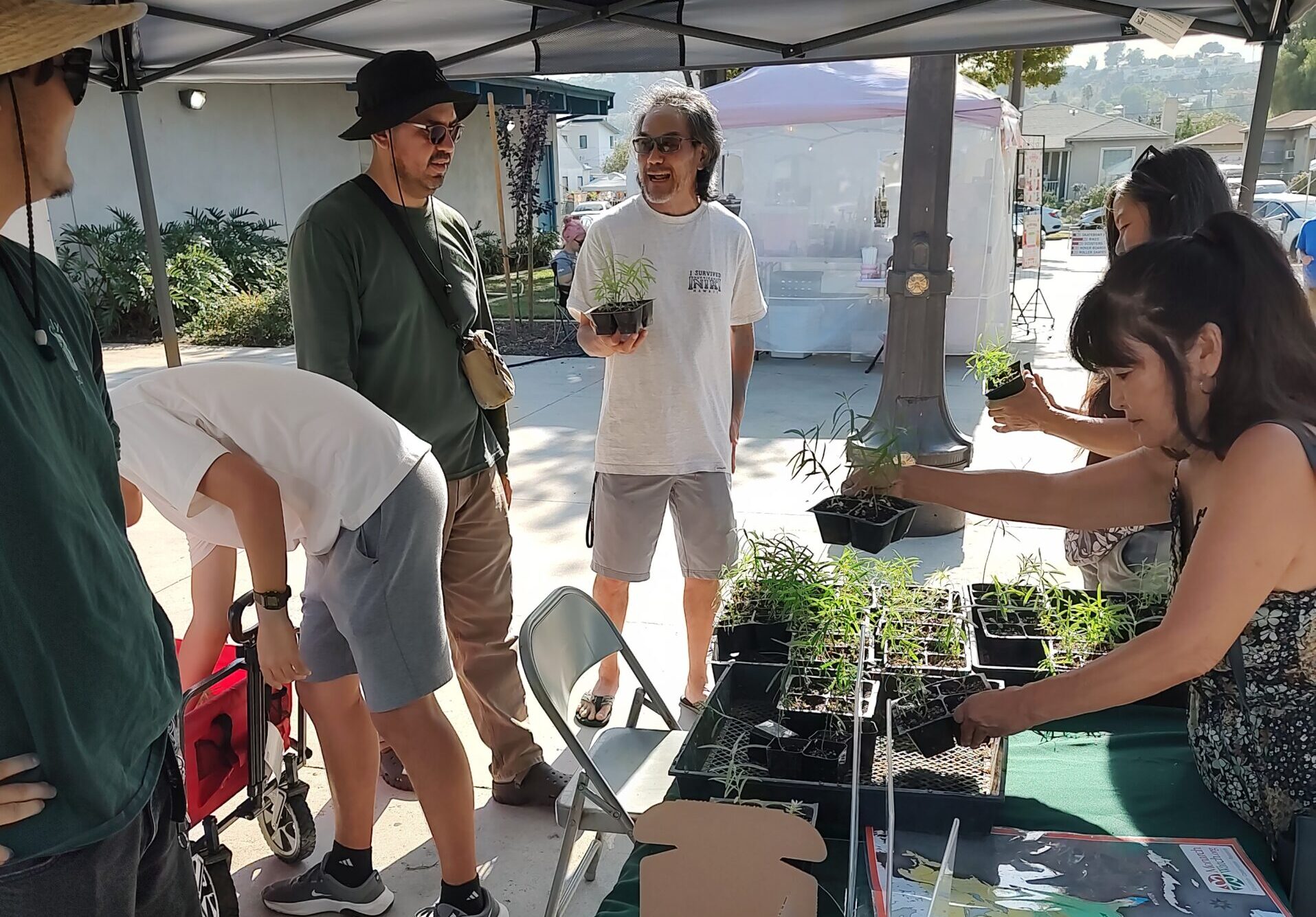 A Successful Native Milkweed Event