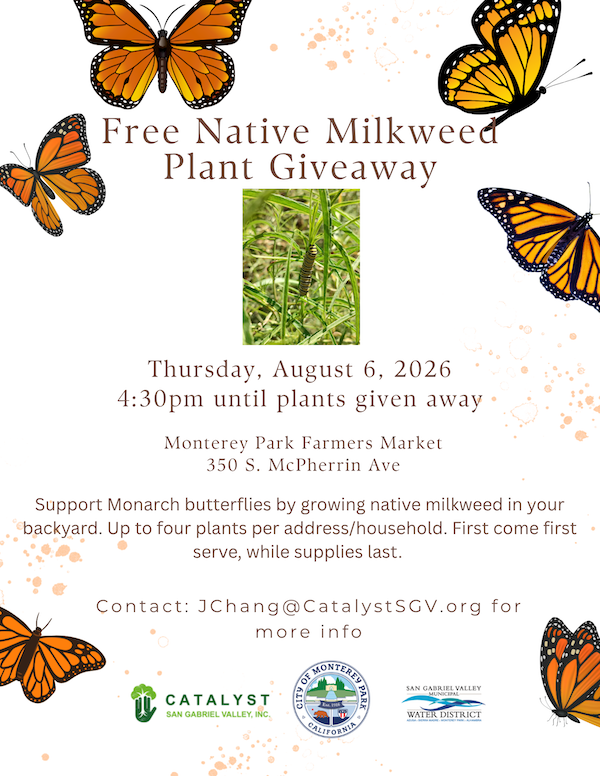 Native Milkweed for Monarchs